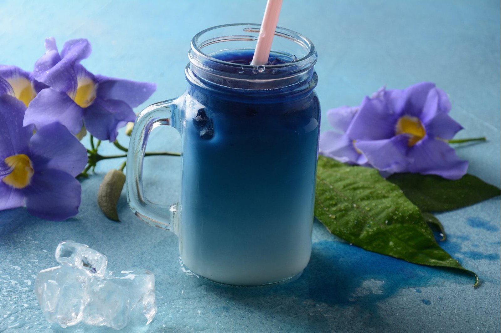 Blue Latte - Trendy Butterfly Pea Flower Recipe