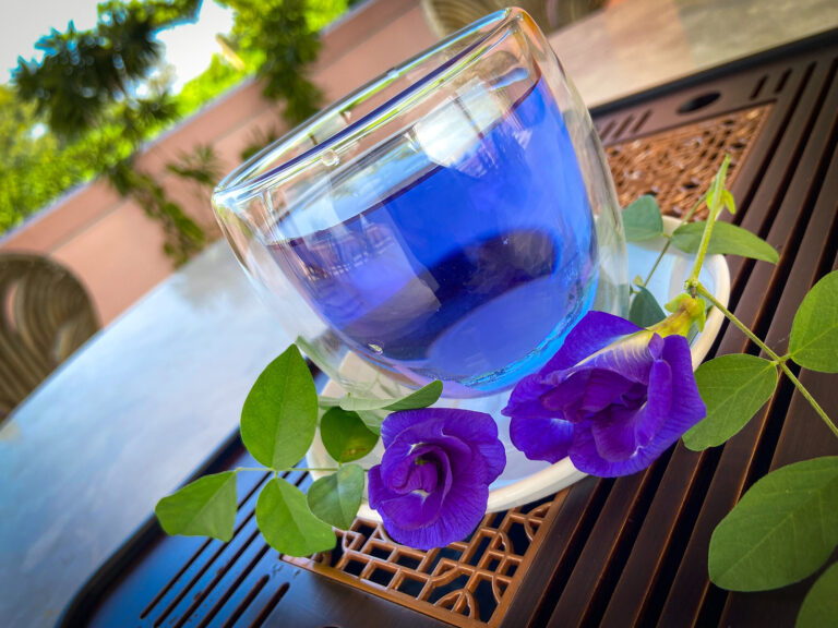 Trend-Drink Blue Tea – The Magical Butterfly Pea Flower