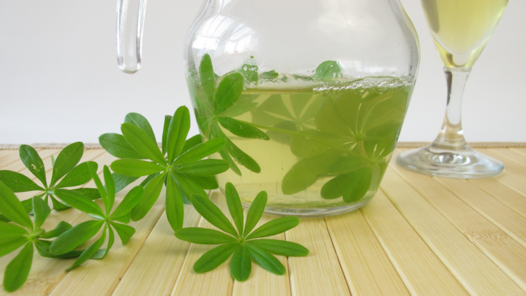 Sweet Woodruff Tea – Effect and Preparation