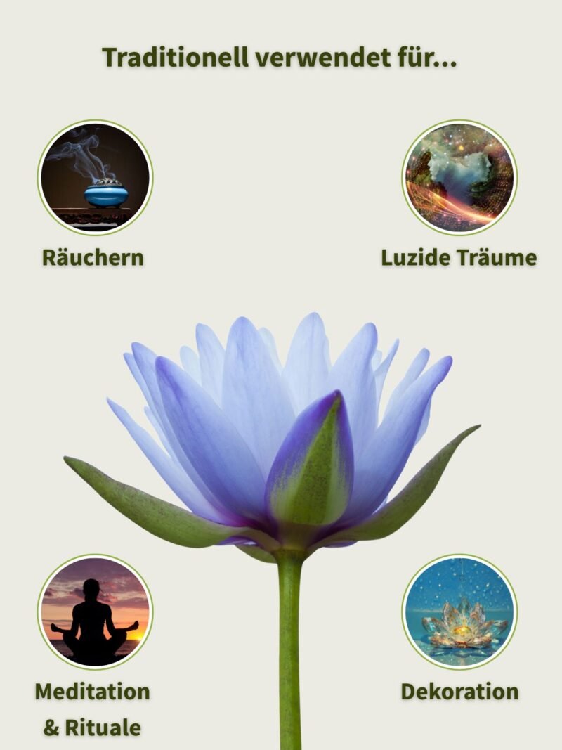 Blauer Lotus Luzide Träume räuchern meditieren