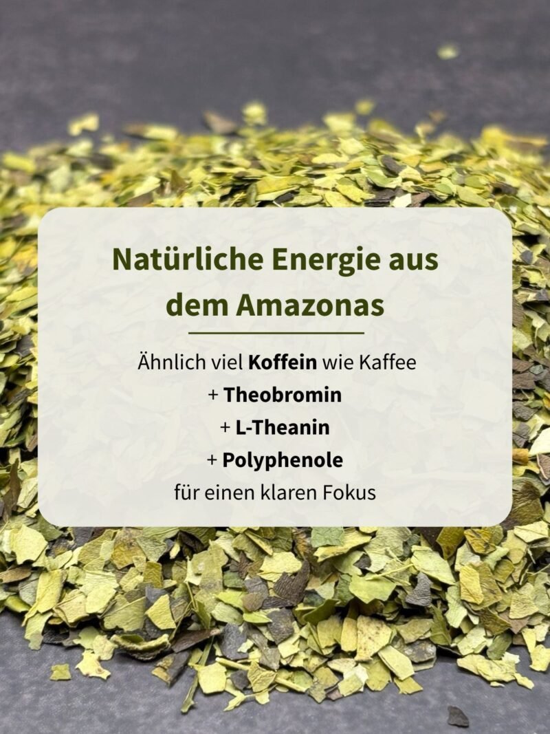 Guayusa Tea - Image 2