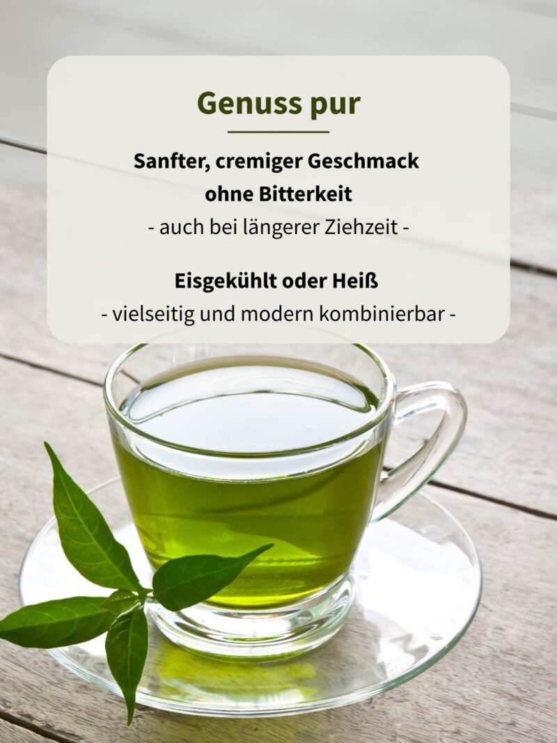 Guayusa Tea - Image 3