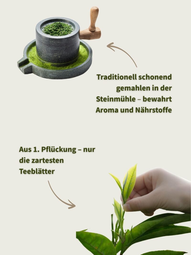 BIO Matcha Kanayamidori 50g – Bild 4
