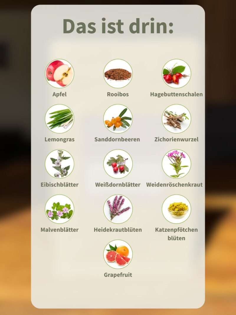 Vitaminbombe Sanddorn & Weißdorn – Bild 2
