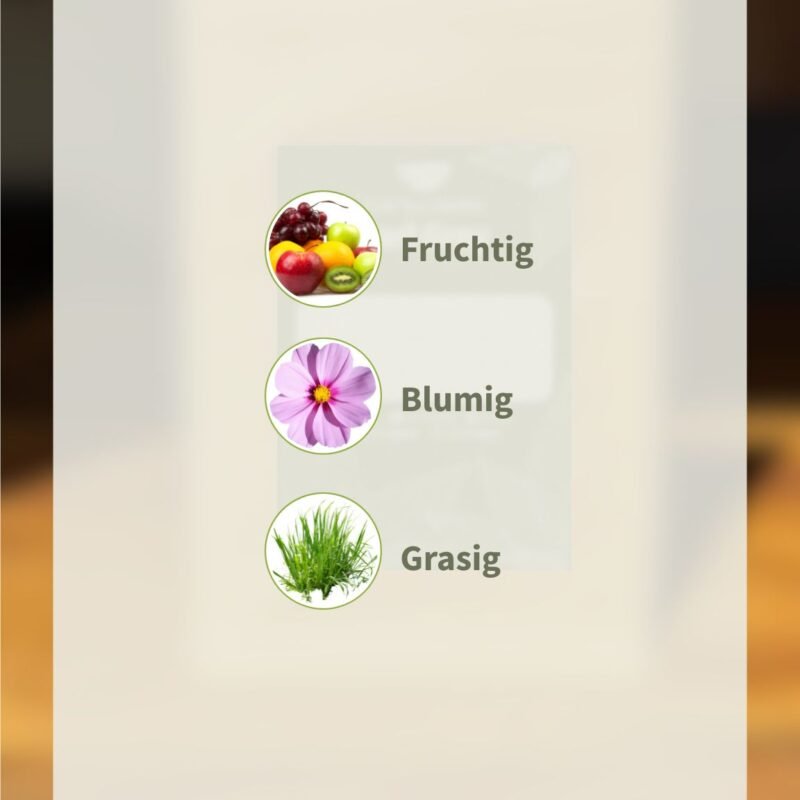 de Pi Lo Chun – Grüner Tee